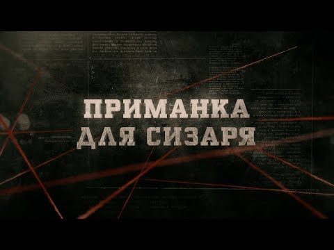 Видео: Приманка для Сизаря | Вещдок