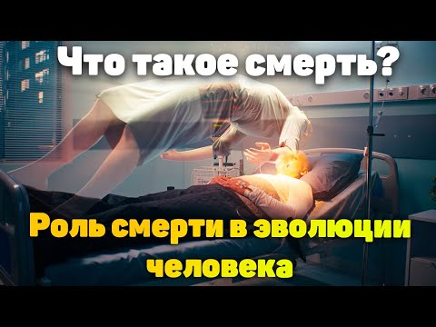 Видео: Что такое смерть. Роль смерти в эволюции человека.