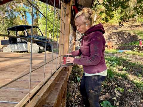 Видео: Масштабное преображение павильона | До и после преображения