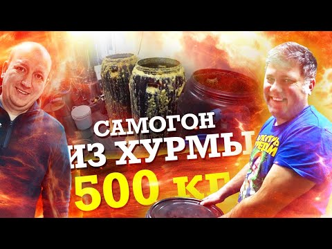 Видео: САМОГОН ИЗ ХУРМЫ