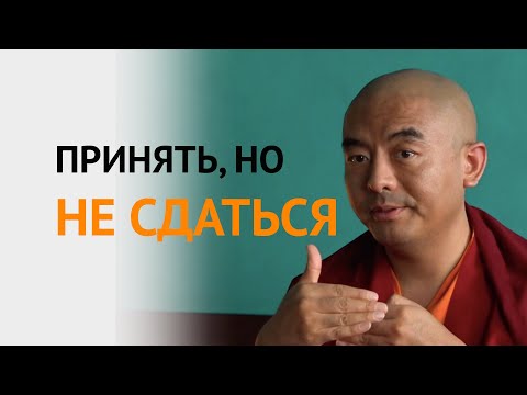 Видео: Как принимать происходящее, но не сдаваться?- Мингьюр Ринпоче