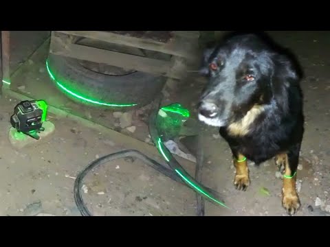Видео: Ночь. Нивелир. Зелёные лапки! Пятая часть строительства навеса в приюте для животных.