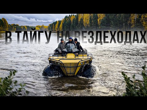 Видео: ТАЕЖНАЯ РЫБАЛКА НА ДАЛЬНЕМ КОРДОНЕ. ЗАБРОСКА НА ВЕЗДЕХОДАХ.  Экспедиция на авто Владивосток-Москва.