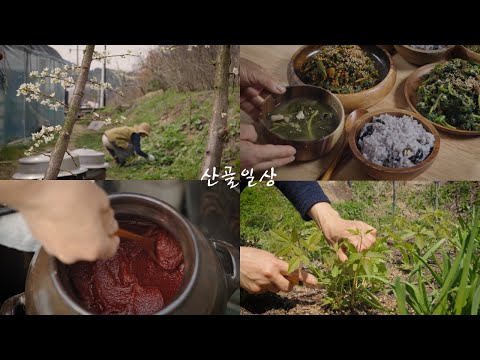 Видео: Полезные и вкусные корейские овощные блюда в горах/Корейское деревенское видео/Весна зимой в Корее