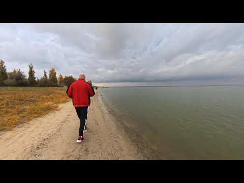 Видео: Пушкинская набережная . Осень .