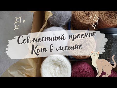 Видео: СП Кот в мешке