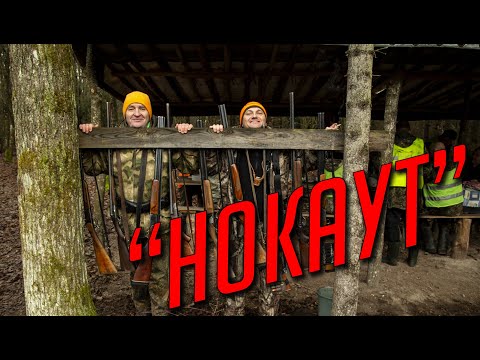 Видео: "Нокаут" Хитрі та Загадкові косулі!!!