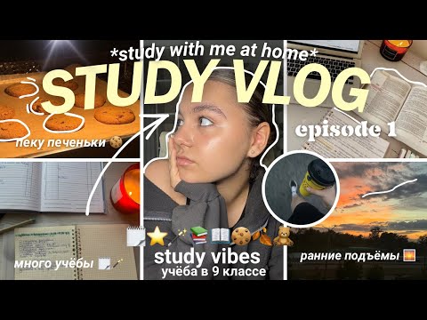 Видео: ✧₊⁺ STUDY VLOG 🍂🗒️🍪// много учёбы, study with me, делаем печеньки + начало осени [ 1 ] ♡