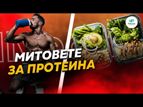 Видео: Митове, свързани с приема на протеин – SBS Livecast 104