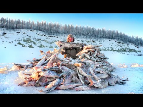 Видео: ЭТО ШОК!!! ЗДЕСЬ ТОННЫ РЫБЫ!! Рыбалка, первый лед. Якутия.