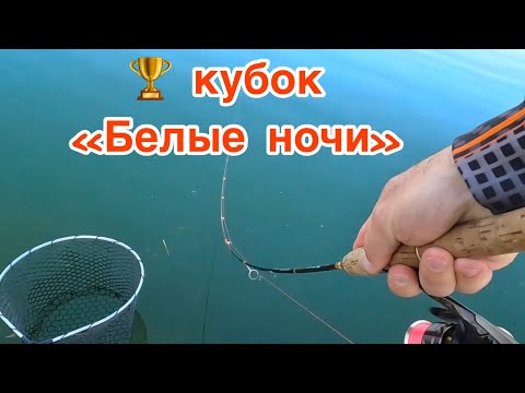 Видео: Кубок «Белые ночи». Ловля прудовой форели. Ловля форели.