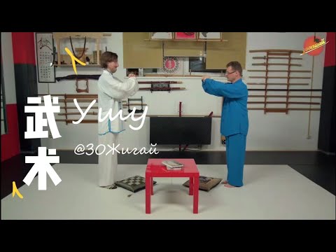 Видео: ЗОЖигай !  Боевое искусство ушу и его польза для здоровья