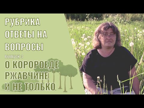 Видео: Ответы на вопросы выпуск 3