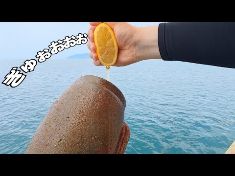 Видео: Что будет, если налить лимонный сок в глиняный горшок для осьминога!?