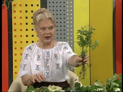 Видео: Наталя Земна - Бузина- ЛОДТРК (м. Львів)