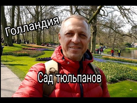 Видео: КОРОЛЕВСКИЙ ПАРК ЦВЕТОВ В НИДЕРЛАНДАХ.ПАРК КЁКЕНХОФ.ТЮЛЬПАНЫ.