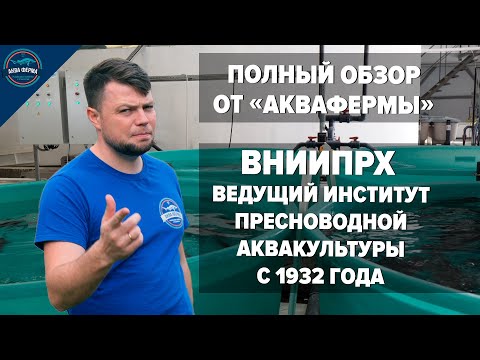 Видео: ВНИИПРХ - институт пресноводной аквакультуры. Полный обзор от «АкваФермы».