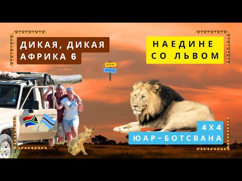 Видео: Ночь со львом, на внедорожнике по Калахари Дикая Африка 6. Night with a lion, in the Kalahari Africa