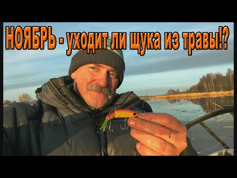 Видео: Ноябрь - уходит ли щука из травы!?