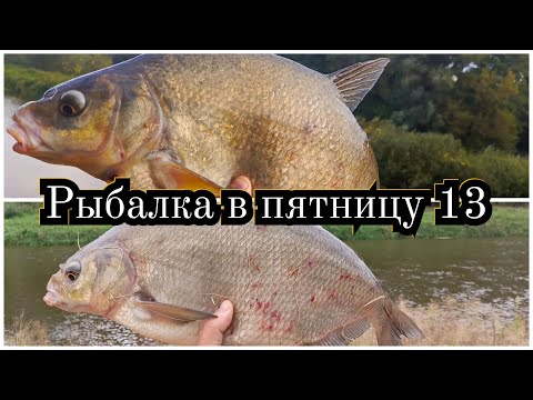 Видео: Рыбалка в пятницу 13. Лещ на 2,6 кг и на 2,8кг. Осенняя ловля на полудонку!