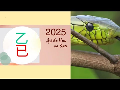 Видео: Дерево Инь на Змея 🐍 