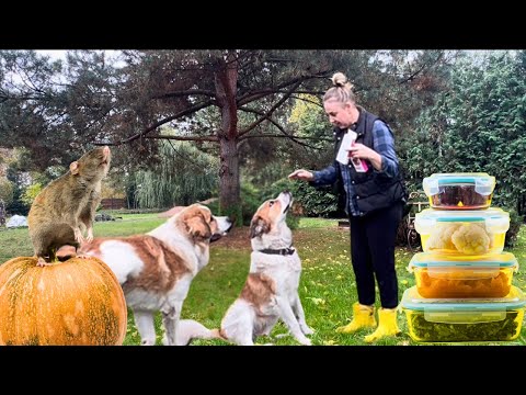 Видео: Мелочи👛 которые делают семейную жизнь радостной и прекрасной в деревне! Готовим тормозок для сына👦 