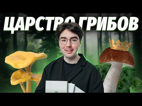 Видео: Коротко о царстве грибов: ВСЕ, что нужно знать для ОГЭ по биологии | Умскул