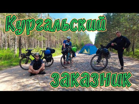 Видео: Загадочными дорожками и тропами Кургальского заказника