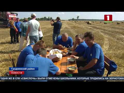Видео: Поздравить хлеборобов СПК «Свислочь» с окончанием уборки приехали профсоюзы