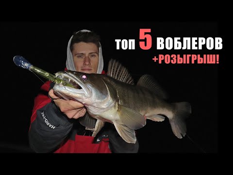 Видео: КАК ПОЙМАТЬ СУДАКА В МОРОЗ! РЫБАЛКА НОЧЬЮ на СУДАКА с ВОБЛЕРОМ!