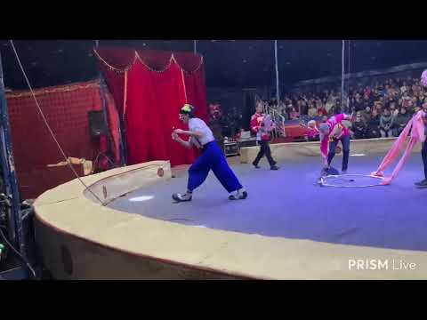 Видео: 🔴Цырк🔴