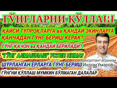 Видео: G‘O‘NG‘ BERISH TARTIB-QOIDALARI. 90-son. ГУНГ СОЛИШ ТАРТИБИ