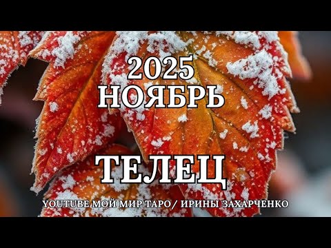 Видео: ТЕЛЕЦ ♉🍂НОЯБРЬ 2025🍁Таро прогноз для Тельцов/tarot forecast for Taurus.