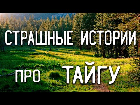 Видео: СТРАШНЫЕ ИСТОРИИ НА НОЧЬ / СТРАШНЫЕ ИСТОРИИ ПРО ДЕРЕВНЮ / СТРАШНЫЕ ИСТОРИИ ПРО ВЕДЬМ / ЛЕС