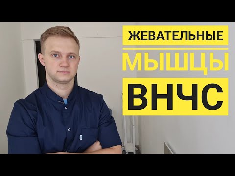 Видео: Диагностика и коррекция (массаж) жевательных мышц челюсти (ВНЧС). Прикладная кинезиология