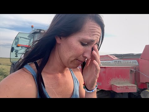 Видео: Становлюсь немного самоуверенным, убирая люцерну третьим укосом | Укладка сена в тюки и как Bale ...