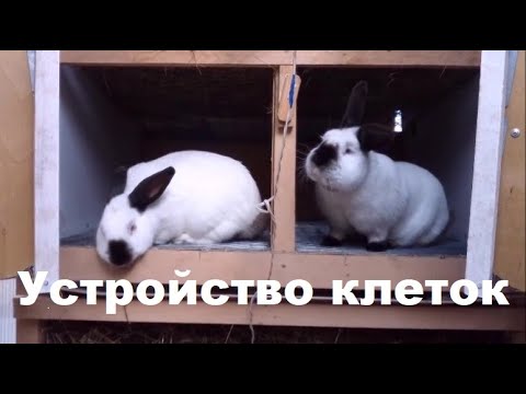 Видео: КРОЛИКИ  УСТРОЙСТВО КЛЕТОК шедовое содержание КРОЛИКОВ