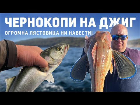 Видео: ЧЕРНОКОПИ на джиг / Огромна лястовица ни навести...