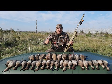 Видео: Открытие осенней охоты 2022.Тысячные стаи чирка!Отличная утрянка на новом месте!