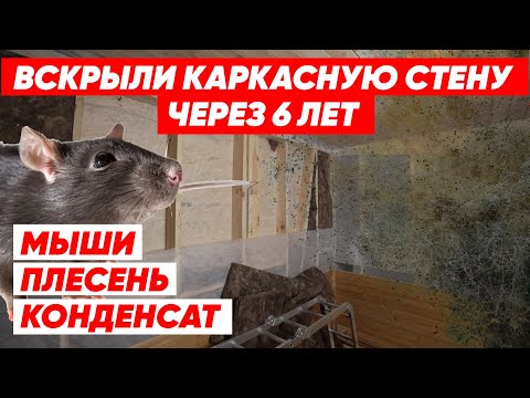 Видео: КАРКАСНЫЙ ДОМ ПОД СНОС!? / МЫШИ и ПЛЕСЕНЬ в каркасном доме / ВСКРЫВАЕМ СТЕНЫ каркасного дома