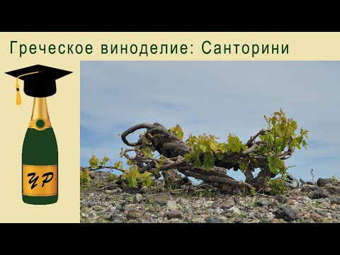 Видео: Греческое виноделие: Санторини