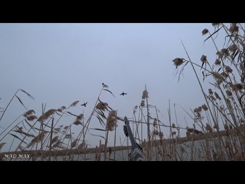 Видео: Удачная охота. Забрались в самые дебри. Второй день охоты.
