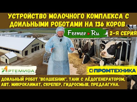 Видео: Современная молочная ферма с нуля за 90 млн рублей. Добровольное доение. Устройство молочного блока.