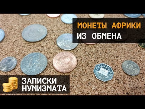 Видео: Монеты Африки