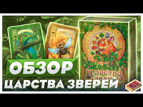 Видео: Обзор настольной игры Царства Зверей