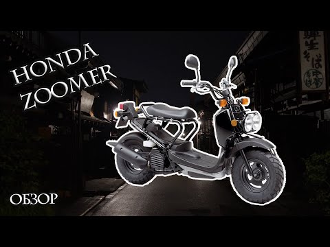 Видео: Honda Zoomer обзор