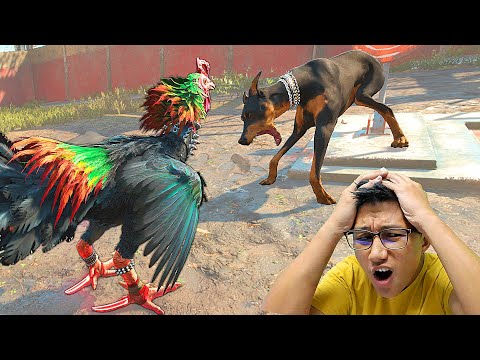 Видео: Мынадай псих қоразды асырап алдым!!! Иттерді айырды (Far Cry 6) #28