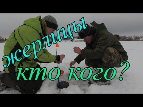 Видео: Щука на ЖЕРЛИЦЫ как поймать новичку