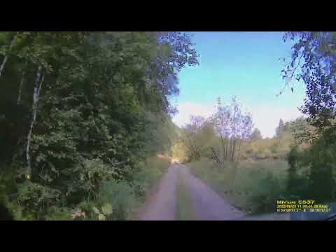 Видео: Проезд по БЖД от Шушпы до Тирляна  23 08 2022