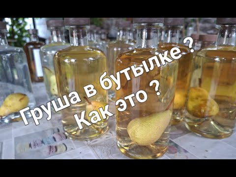 Видео: Груша в бутылке, как это возможно?